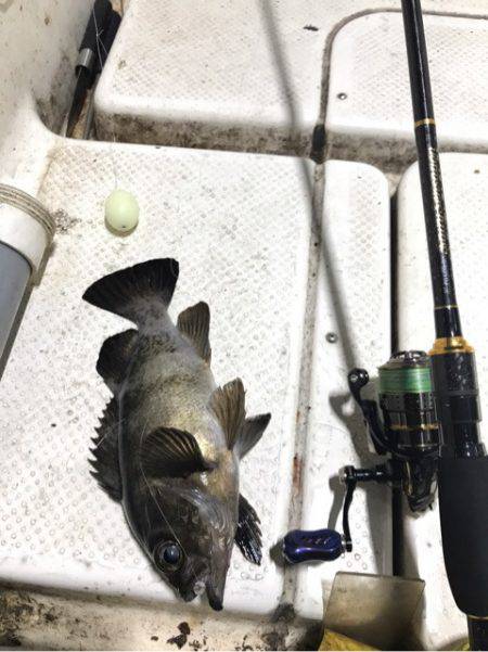 Monster Rush! 釣果