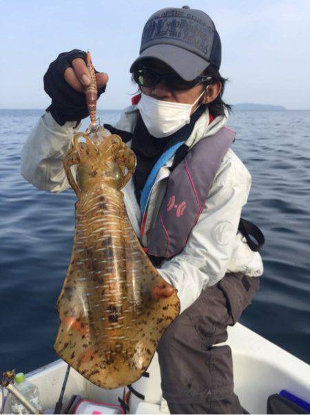 「LaGooN」蒼陽丸 日和号 釣果