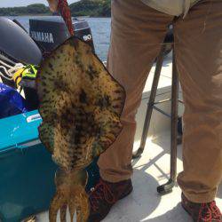 「LaGooN」蒼陽丸 日和号 釣果