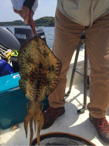 「LaGooN」蒼陽丸 日和号 釣果
