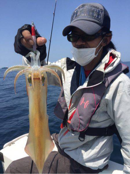 「LaGooN」蒼陽丸 日和号 釣果