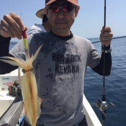 「LaGooN」蒼陽丸 日和号 釣果