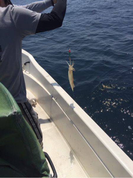「LaGooN」蒼陽丸 日和号 釣果