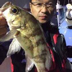 ヤザワ渡船 釣果