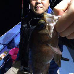 ヤザワ渡船 釣果