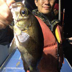 ヤザワ渡船 釣果