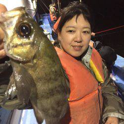 ヤザワ渡船 釣果