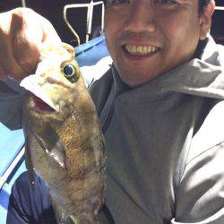 ヤザワ渡船 釣果