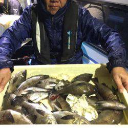 ヤザワ渡船 釣果