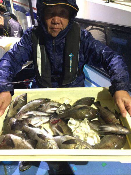 ヤザワ渡船 釣果