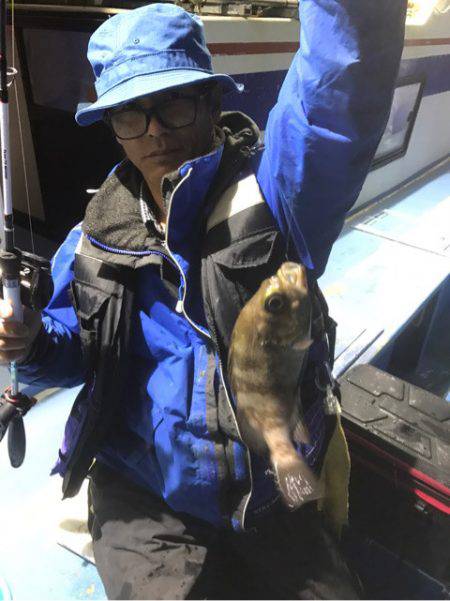 ヤザワ渡船 釣果