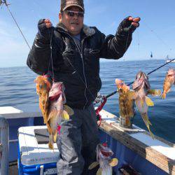 第二　つれたか丸 釣果