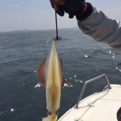 「LaGooN」蒼陽丸 日和号　 釣果