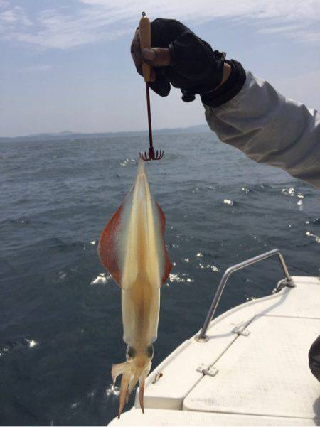 「LaGooN」蒼陽丸 日和号　 釣果