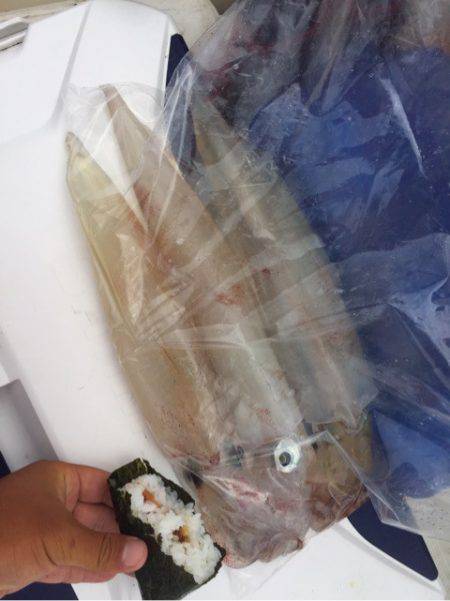 「LaGooN」蒼陽丸 日和号　 釣果