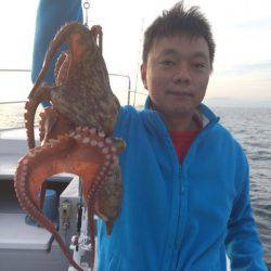 ビッグファイター 釣果