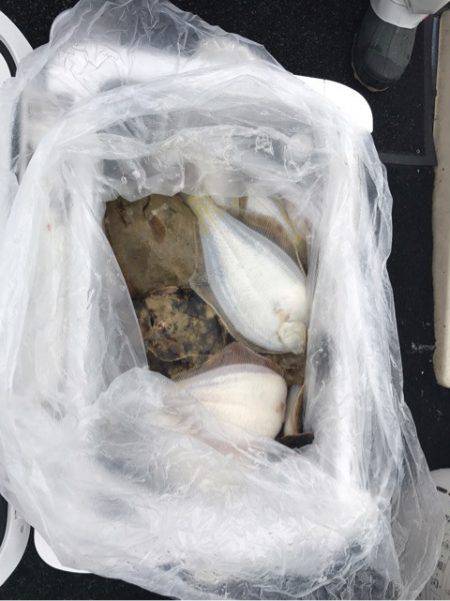 第二 つれたか丸 釣果