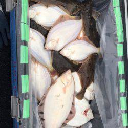 第二 つれたか丸 釣果