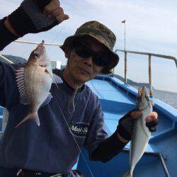 ヤザワ渡船 釣果