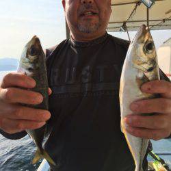 ヤザワ渡船 釣果