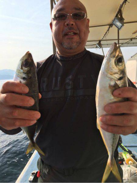 ヤザワ渡船 釣果