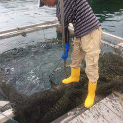 釣り堀水宝 釣果