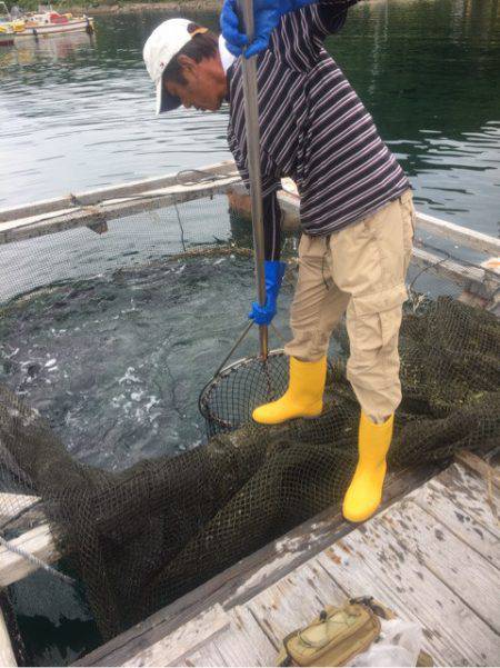 釣り堀水宝 釣果