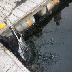 釣り堀水宝 釣果