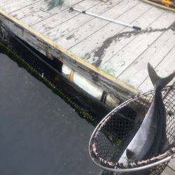 釣り堀水宝 釣果