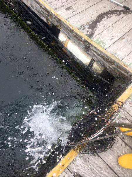 釣り堀水宝 釣果