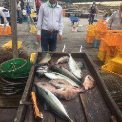 釣り堀水宝 釣果