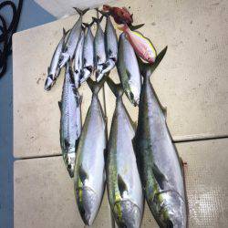 Monster Rush! 釣果