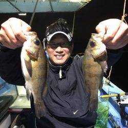 ヤザワ渡船 釣果