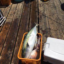 釣り堀水宝 釣果