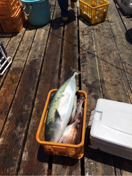 釣り堀水宝 釣果