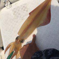 「LaGooN」蒼陽丸 日和号　 釣果