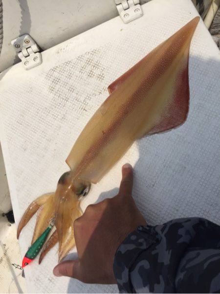 「LaGooN」蒼陽丸 日和号　 釣果