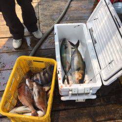 釣り堀水宝 釣果