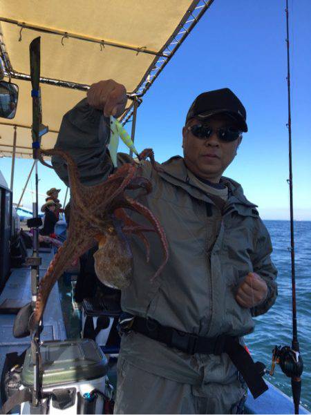 ヤザワ渡船 釣果