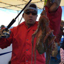 ヤザワ渡船 釣果