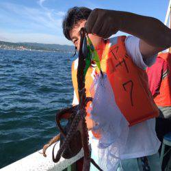 ヤザワ渡船 釣果