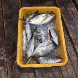 釣り堀水宝 釣果