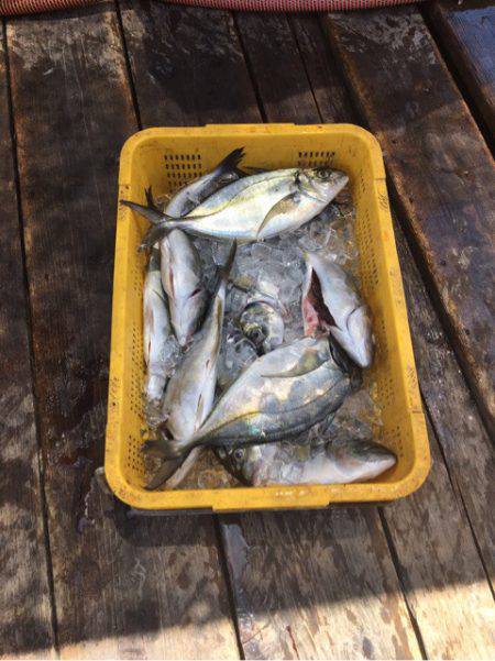 釣り堀水宝 釣果