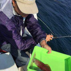 「LaGooN」蒼陽丸 日和号 釣果