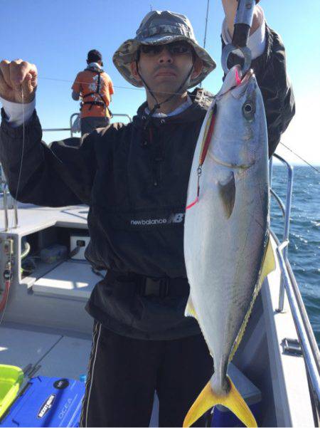 ビッグファイター 釣果