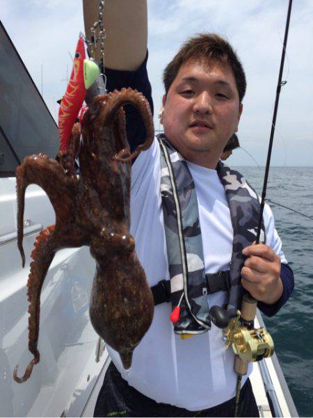 ビッグファイター 釣果