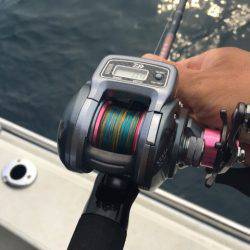 末広丸(熊本) 釣果