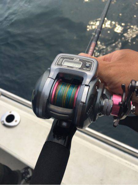 末広丸(熊本) 釣果