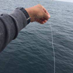 末広丸(熊本) 釣果