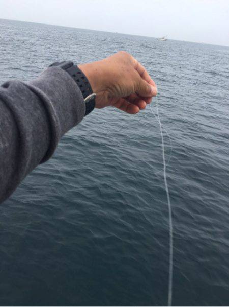 末広丸(熊本) 釣果